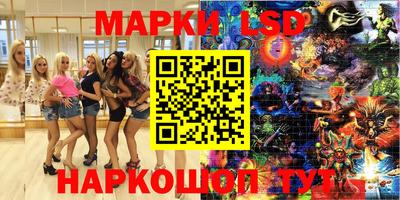 прущие грибы Будённовск