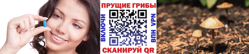ссылка на мегу маркетплейс  Воскресенск  Псилоцибиновые грибы мухоморы  хочу  